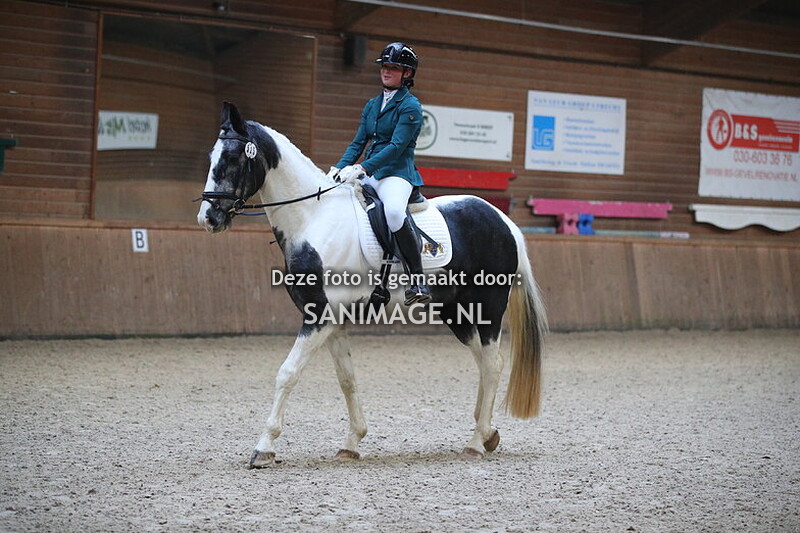 PV Midland dressuur 19-01-2025 12.00 uur