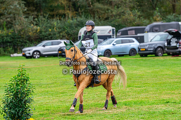 NHRV (Noord Hollandse Ruiter Vereniging) 80cm Ponys