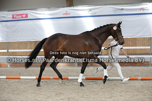 19 Narmante LGC (For Cruise RS2 x Furesia v. Westpoint)