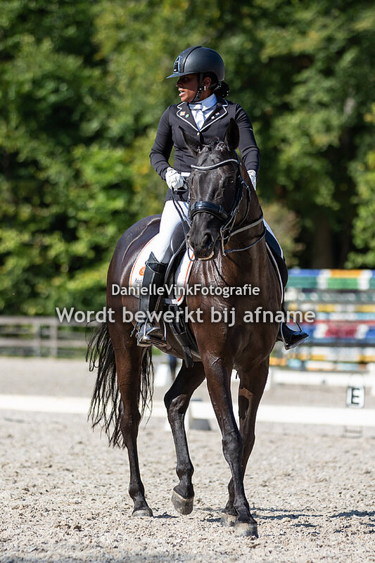 Lillian Speelpenning - Festini Di Nona