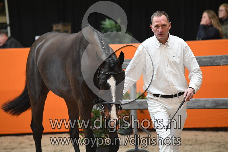 Levante STN Z v. Levisto