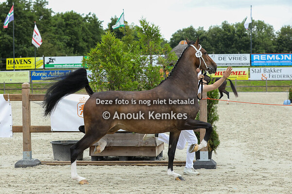 72 - Roline S ( Fantijn x Eebert )