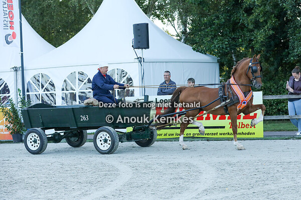 TP Dagkampioenschap Enkelspan Boerenwagen