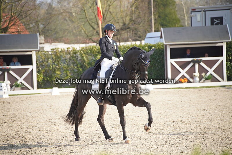 6. Young Riders Freestyle