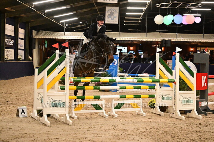 Tobias Luikens - Tommeke Tommeke