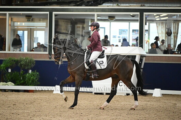 Iris Bruijs - Winter's Zidane