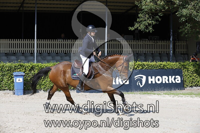 Springen verenigingskampioenschap paarden 1.00