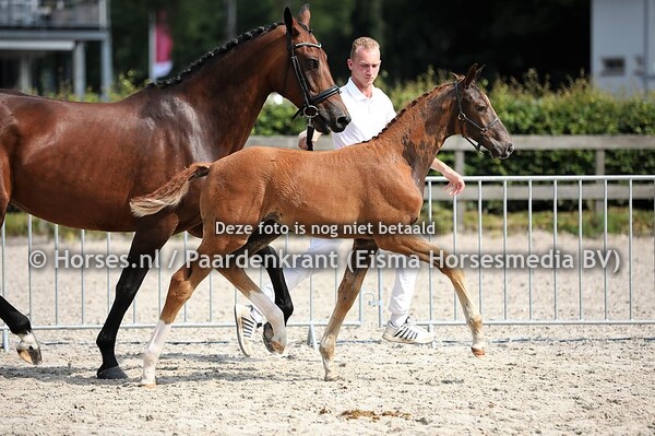 19 Officer (Deparon US x W.Heroine II v. Jazz)