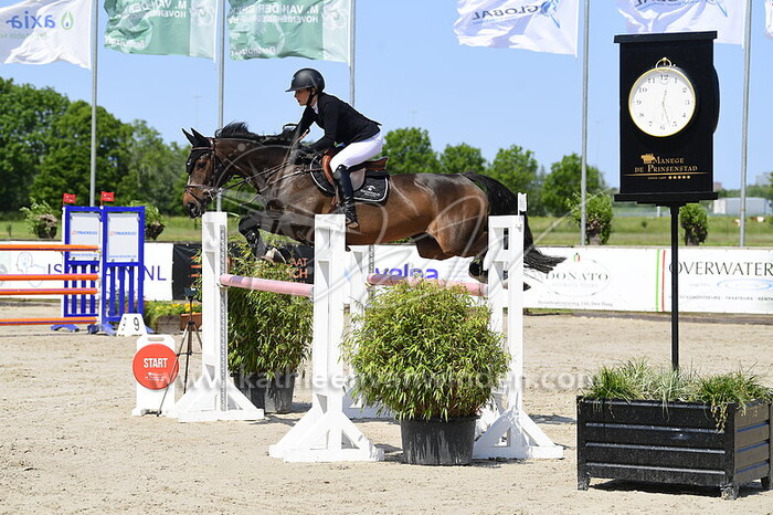 Lotte Teuns - La Belle Fleur vh Venushof Z