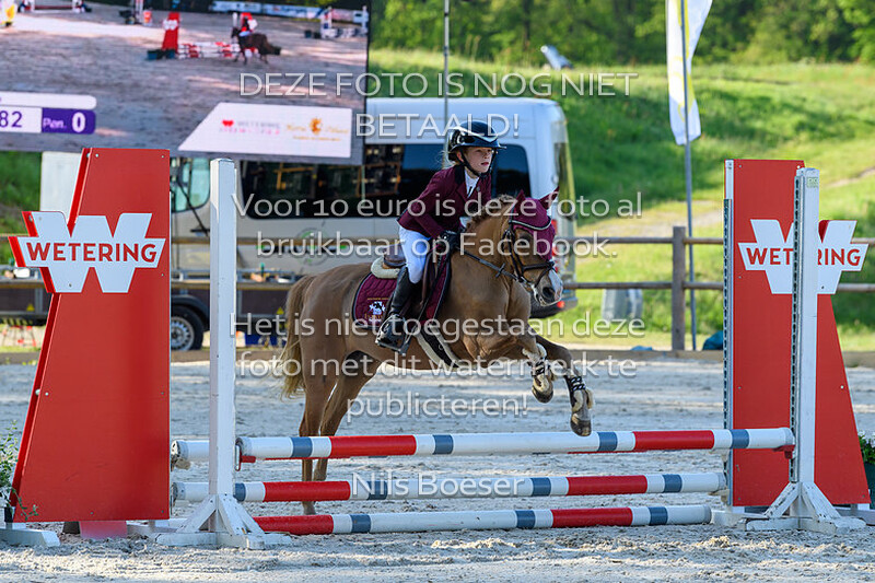 S12 Springen AB 50cm