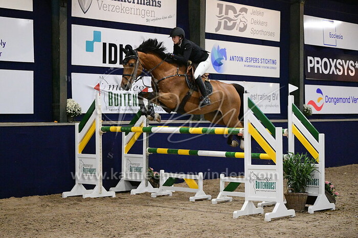 Amber Fijen - Maximo Gorado