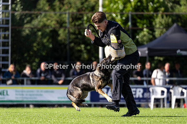 Lot nr 1 Johan Koeleman Wicky v Hamersslag