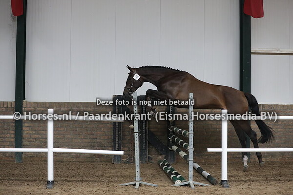 72 Mobijn (High Shutterfly x Fobijn v. Unaniem)