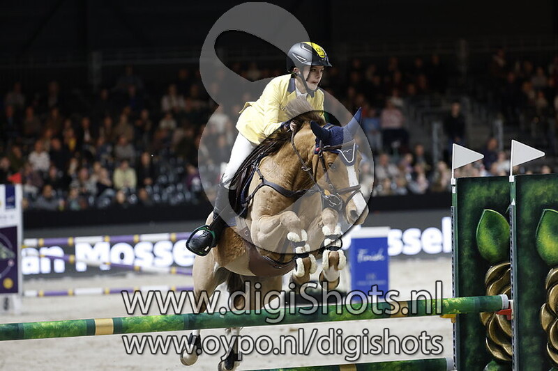 Pedro Weber Mansur Guerios