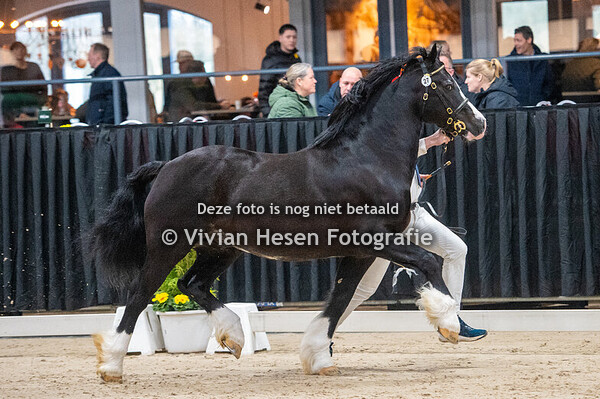 1e bezichtiging sectie C en D