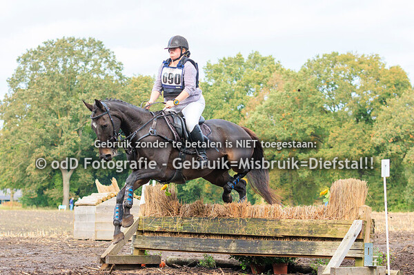 Eventing Diepenheim Paarden B 20-10-24