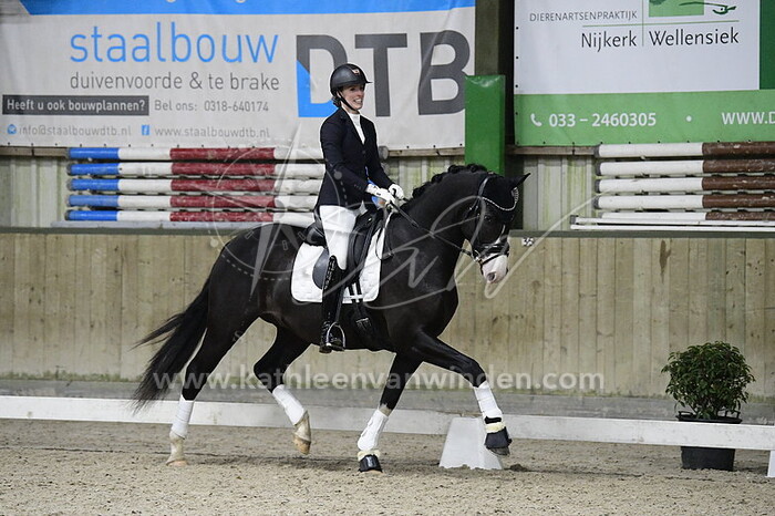 Laura Lodewijk - Nashville LLD