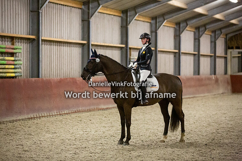 Z1 en Z2 paard (vrijdag)