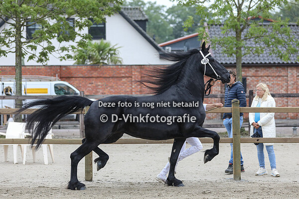 140. Brecht fan Galinga State