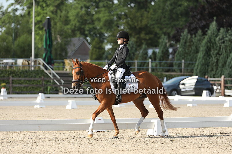 9.00-11.30 uur Ring 3 & 4