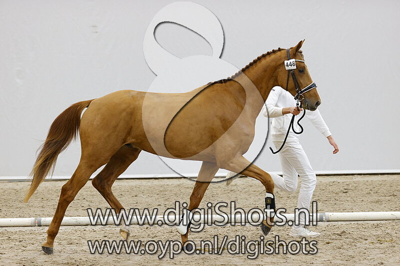 Noble Tarpania v. Governor