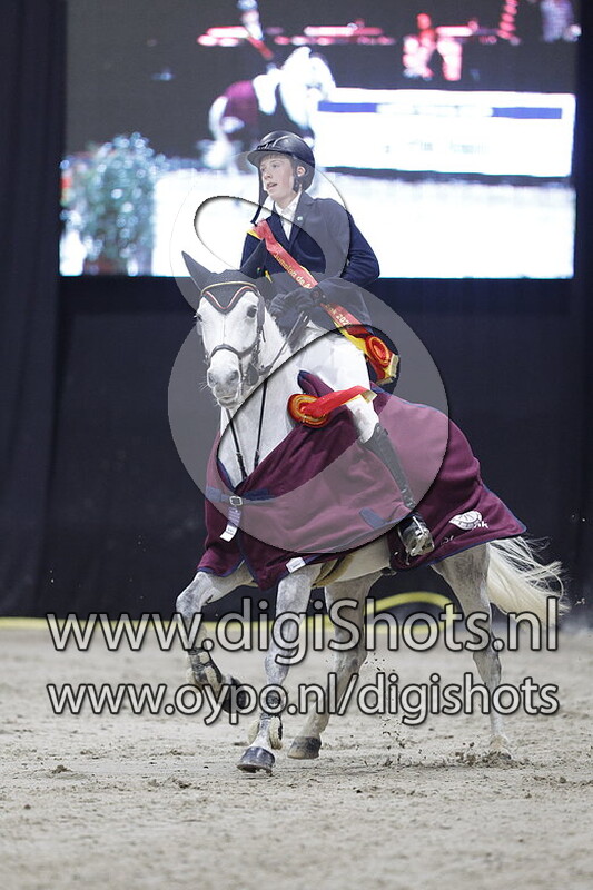 Sparkling Lackaghmore Joey