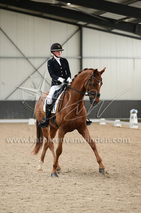 July Verhoef - Mistery H