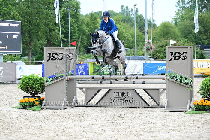 Anne Dircken - Heart of Promesse Z