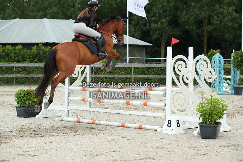 Zilfia's Hoeve Springen Paarden 28-06-2025 70-90 cm