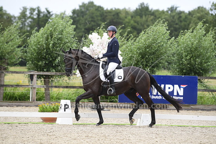 Gianni Gevers - Nacturne SVH