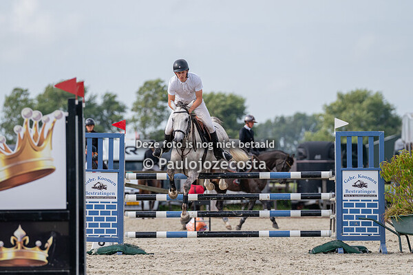 NH Regionals 120cm paarden