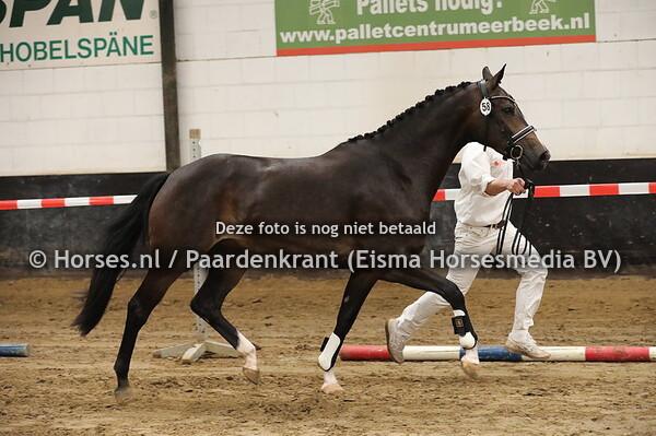 58 Muerette v Toto jr