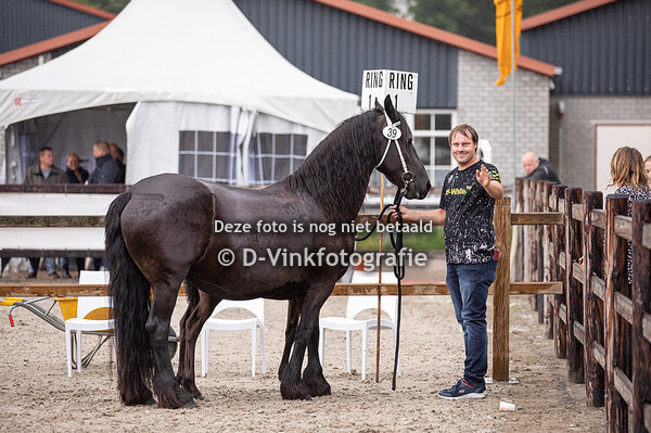 39. Prinses fan Preiss