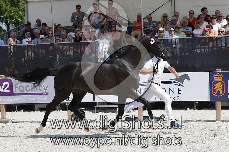 Peforline vd Watermolen v. Daily Diamond