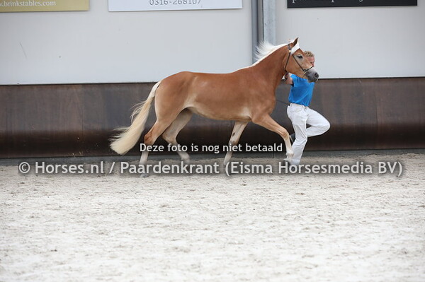 47 Sarina (Sevruga x Schysella v. Straden)