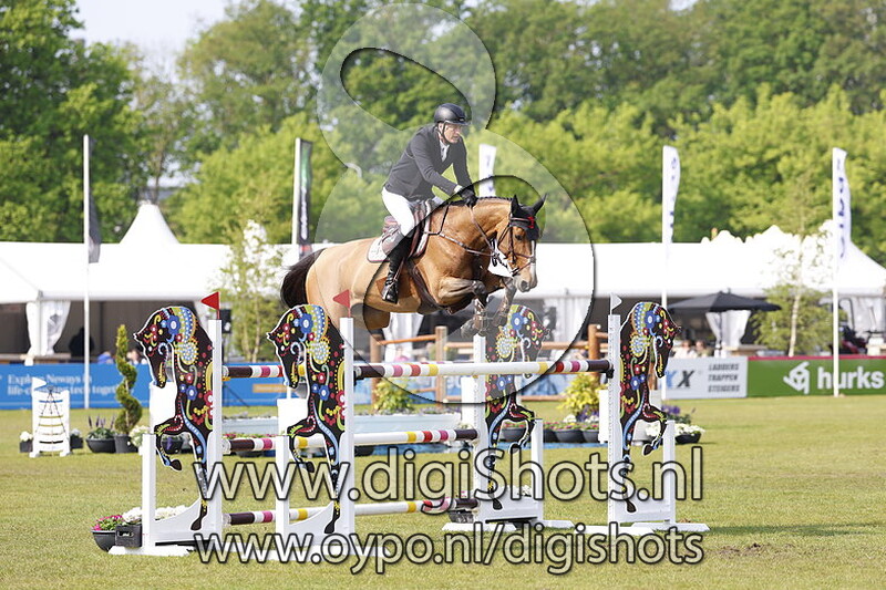 Dwivoli van de Groote Kamps Z