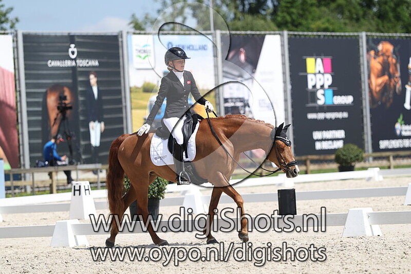 Lyngdals Mira Puella