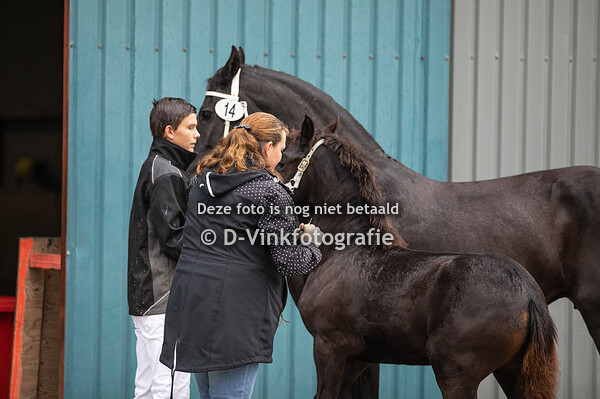 14. Vita Nuova Boszorg