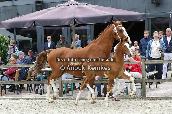 030 - UIDONO INNOVATIEF X NANDO R. HOFSTRA-HALMAN, LYTSEWIERRUM