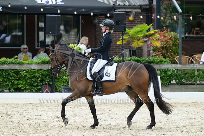 Suus van Schip - Dark Intentions