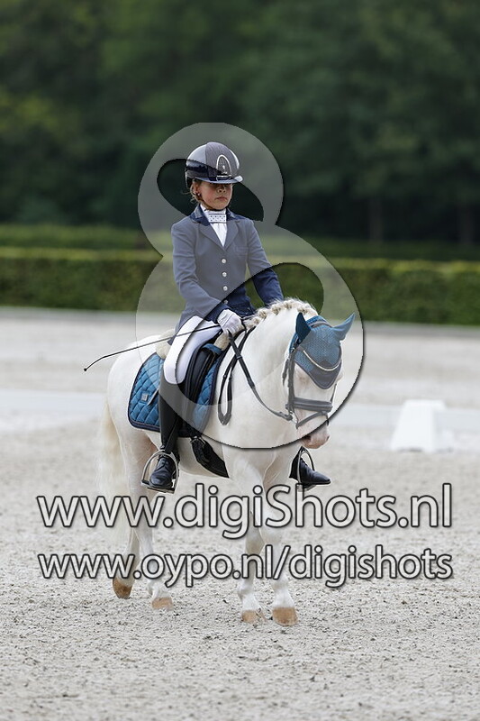 Ring 7 Klasse B cat AB