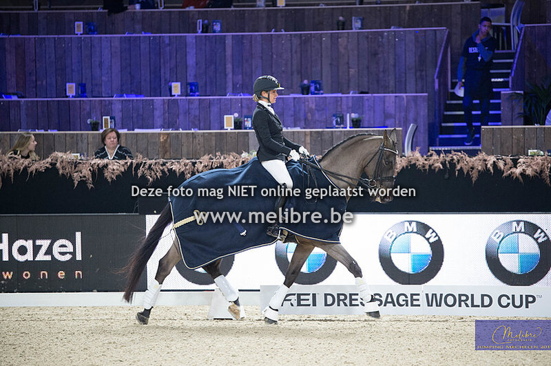KBC Gouden teugel - LRV Finale ZZ