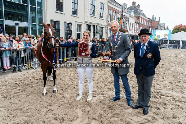 752e Paardenmarkt in Vianen
