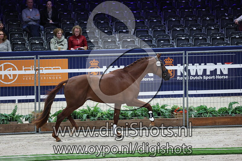 Simba V.O.D. v. Fynch Hatton