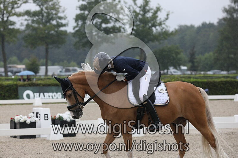 Ring 7 Klasse Z2 cat DE