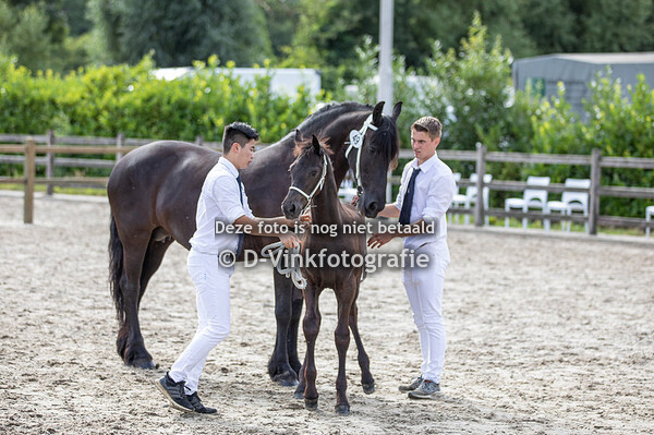 49. Qiell Hindriik fan fiif Roazen