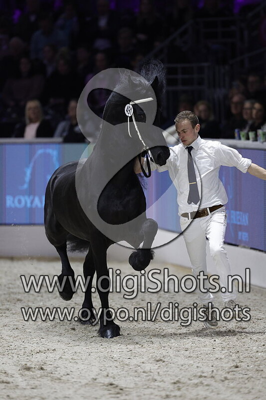 Markus 491 v. Maurits 437