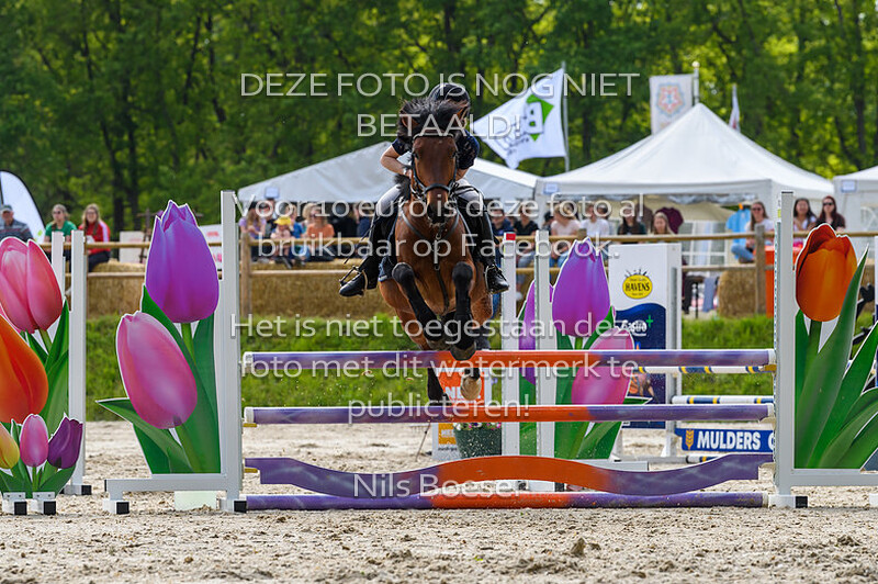 S20 Springen DE 90cm