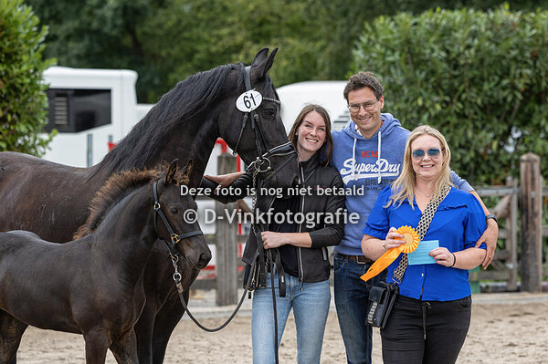 61. Extraordinair van Zomerstaete