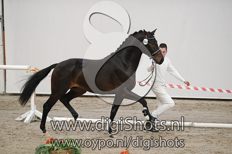 Mister M v. Trafalgar